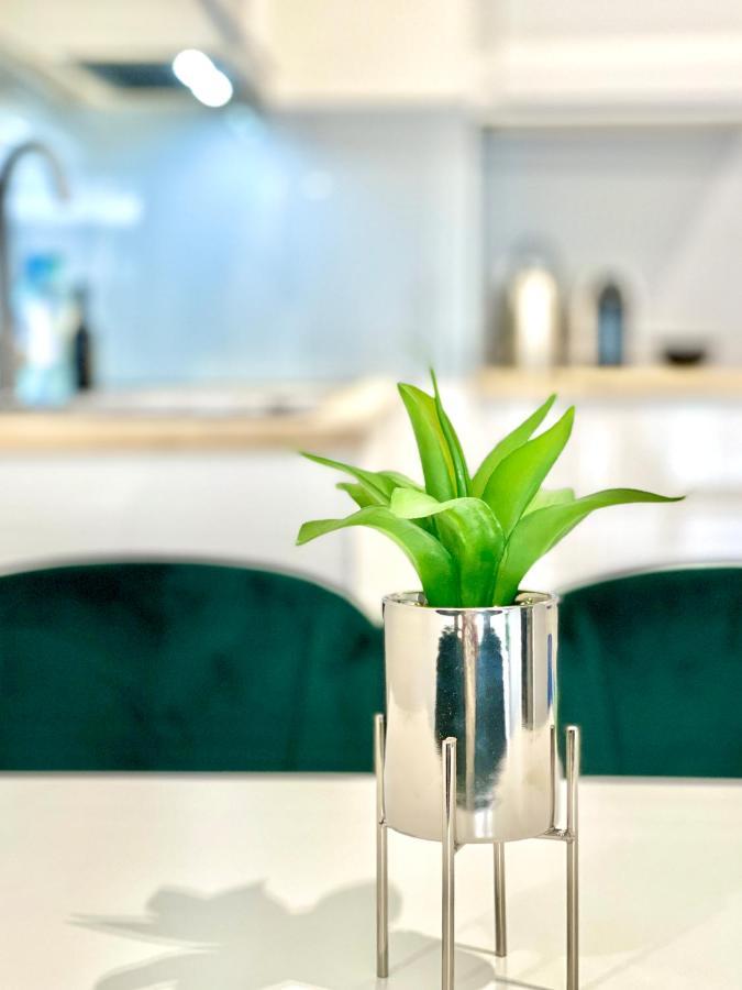 Modern Green Apartment 克拉科夫 外观 照片